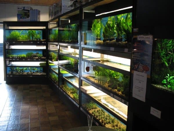 Virtuele rondleiding door onze winkel