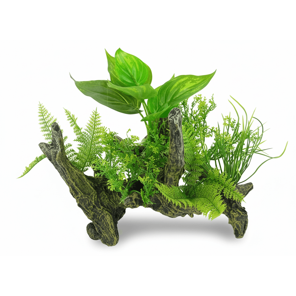BBP Aquascape 2