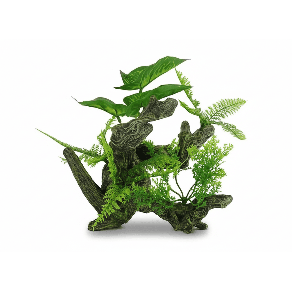 BBP Aquascape 3