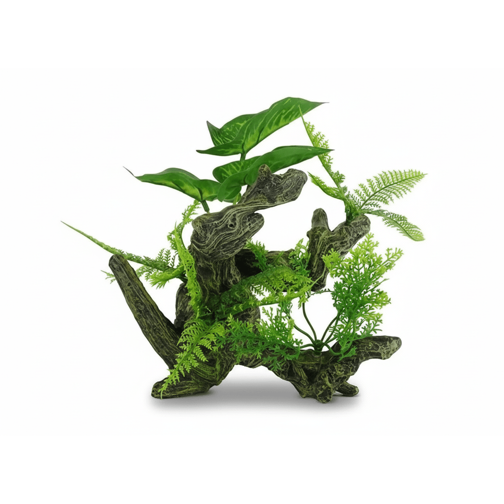 BBP Aquascape 3