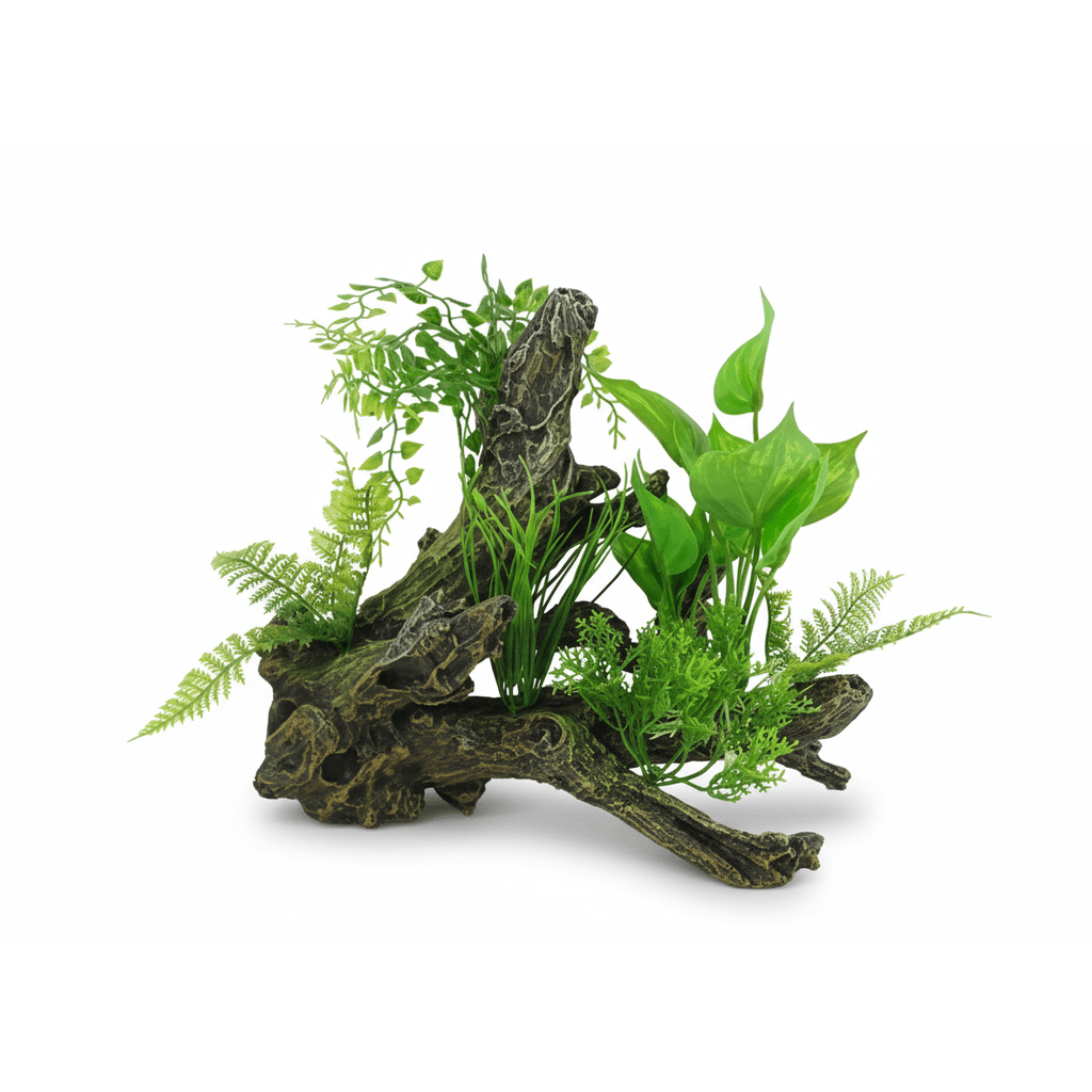 BBP Aquascape 4
