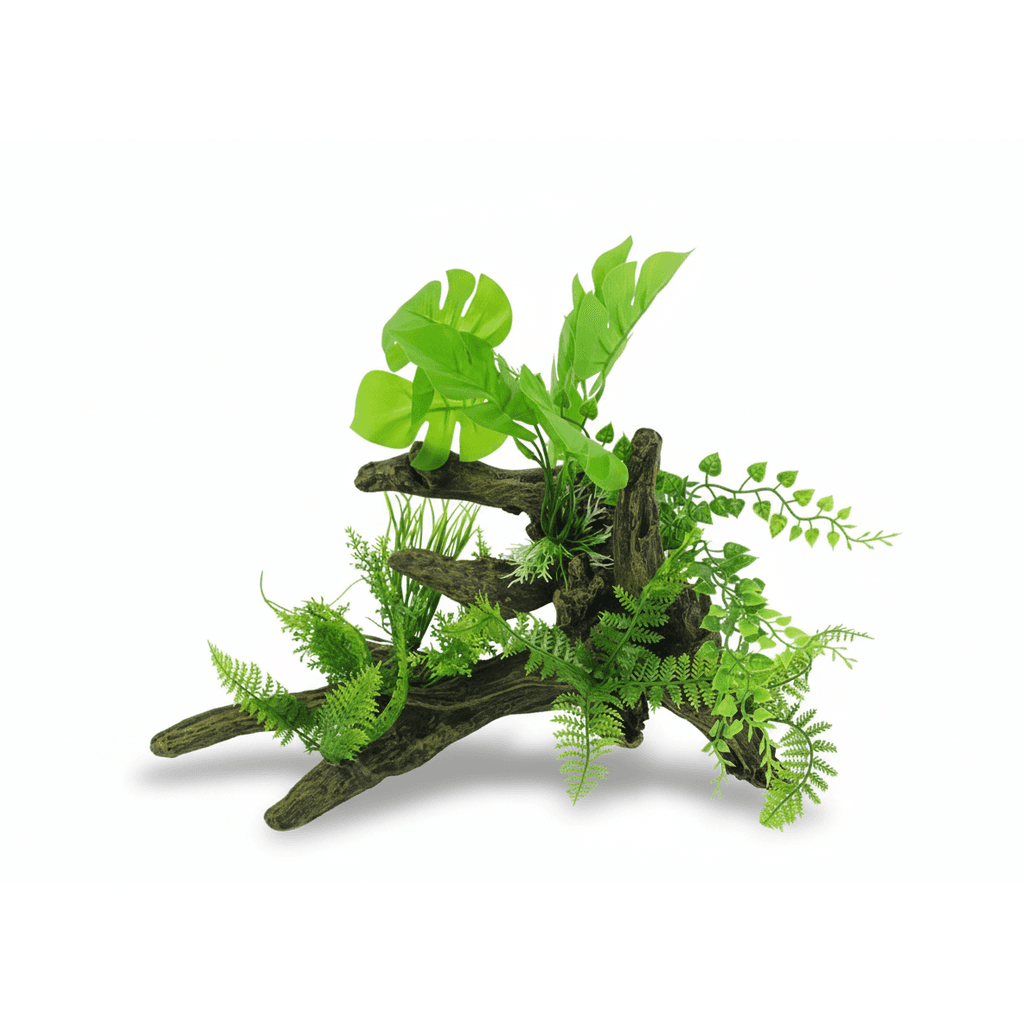 BBP Aquascape 5