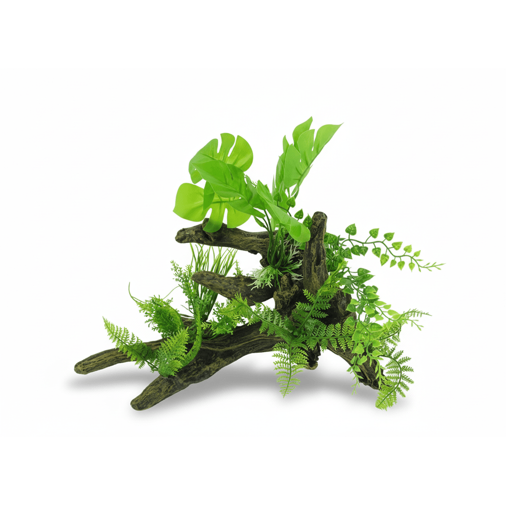 BBP Aquascape 5