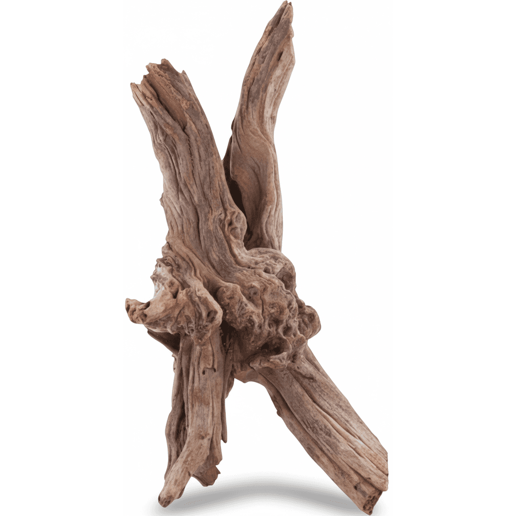 Sera Driftwood