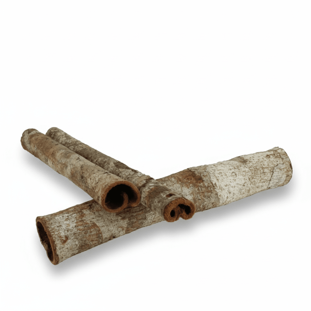 Catappa Bark Tubes