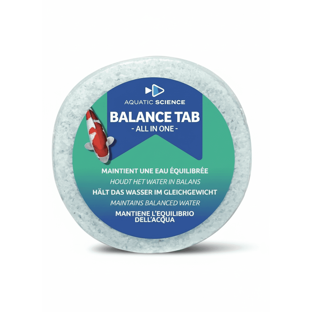 Balance Tab