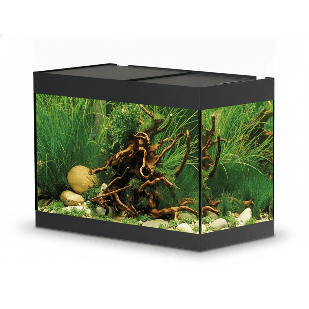 Oase Styleline 125 Aquarium