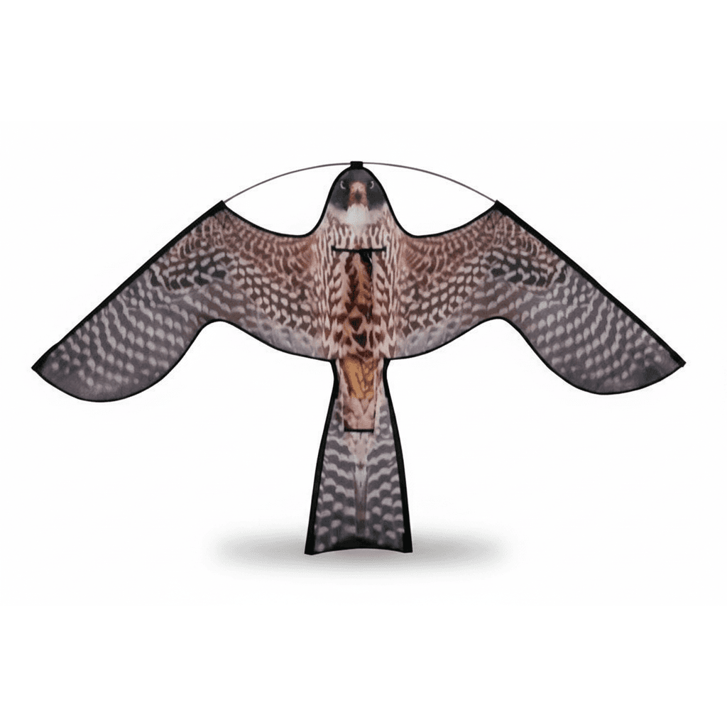 Ketrop Reserve Hawk Kite met roofvogelprint