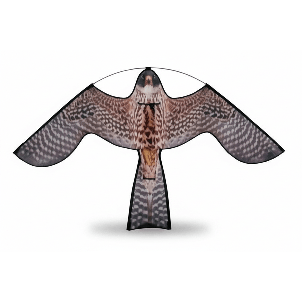 Ketrop Reserve Hawk Kite met roofvogelprint