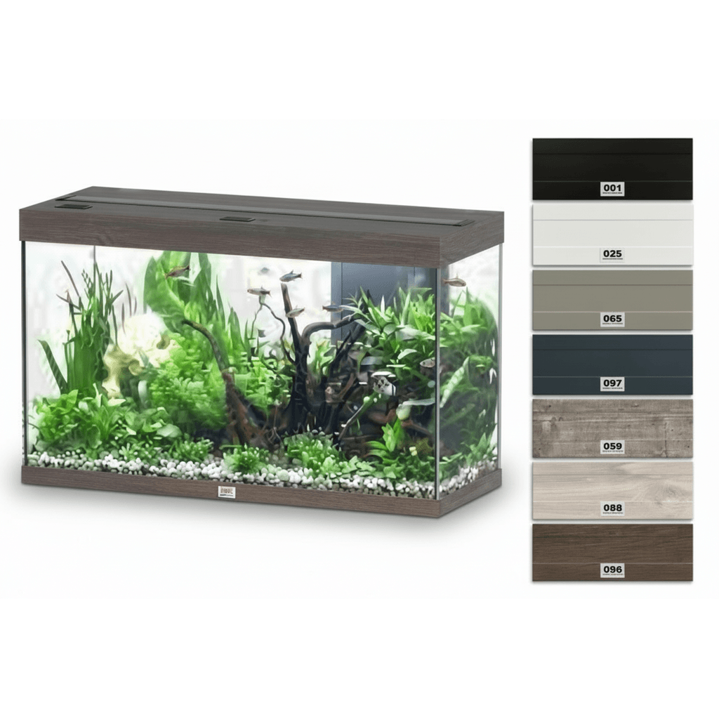Aquatlantis Splendid Ultra 80 Aquarium