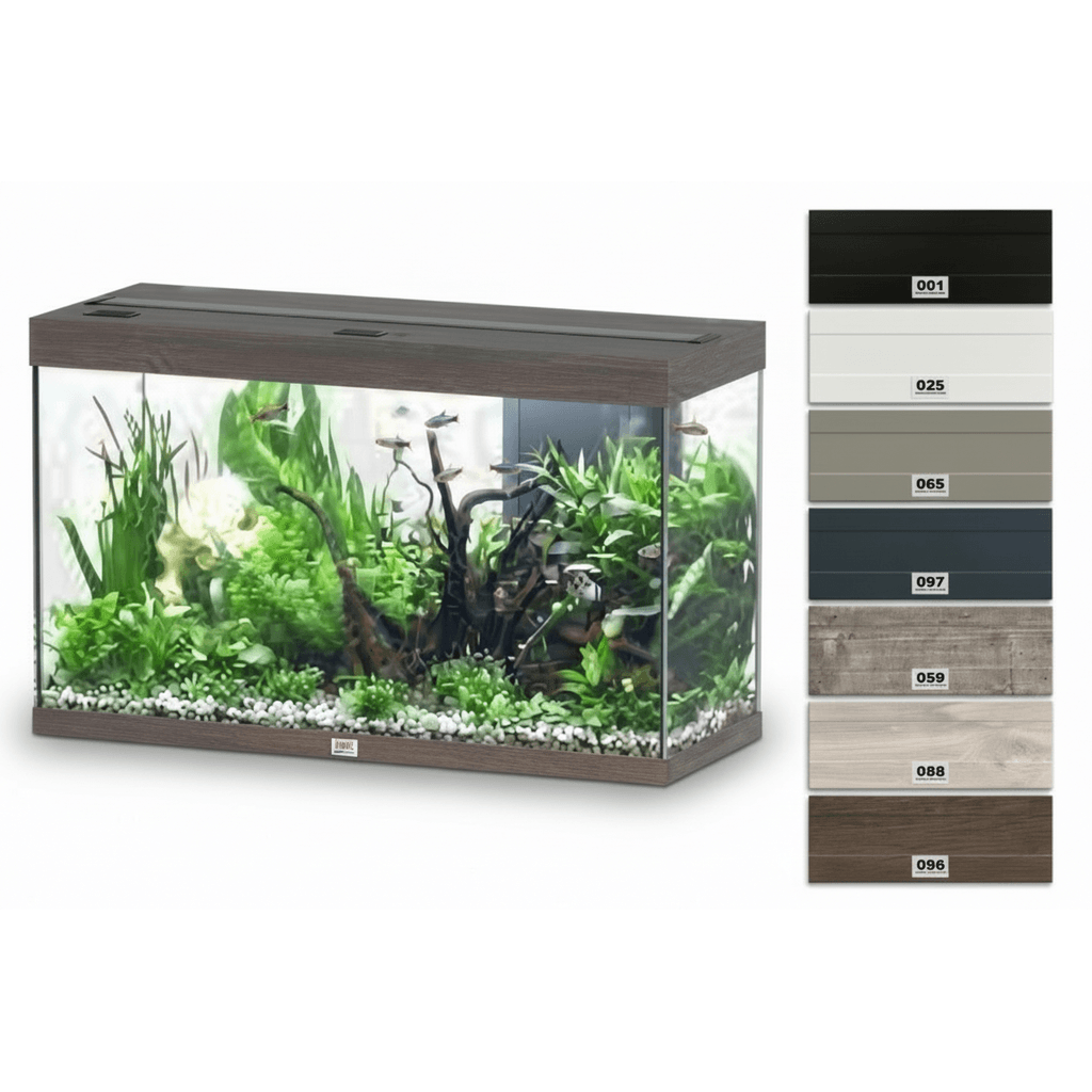 Aquatlantis Splendid Ultra 80 Aquarium