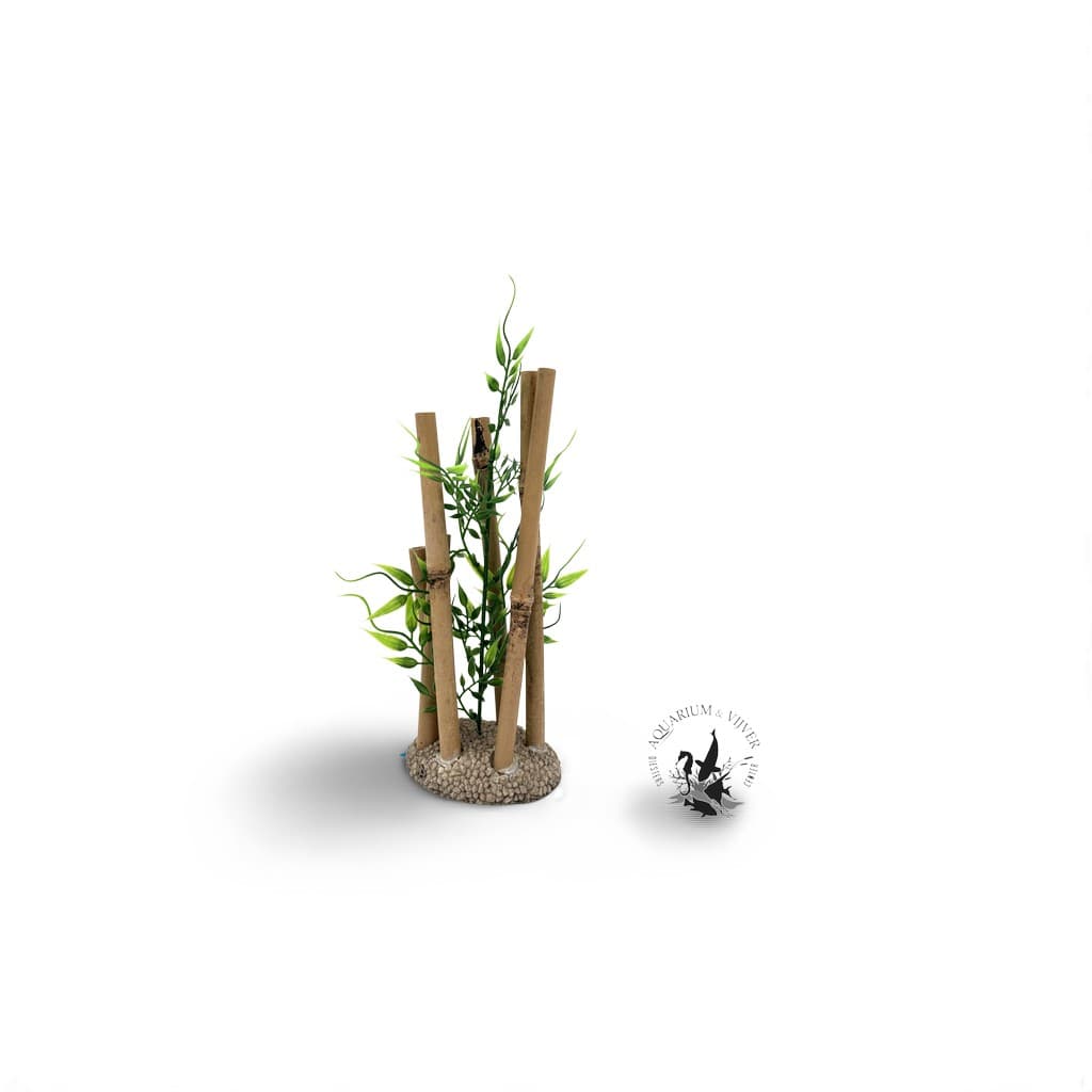 Aqua Della Bamboo L