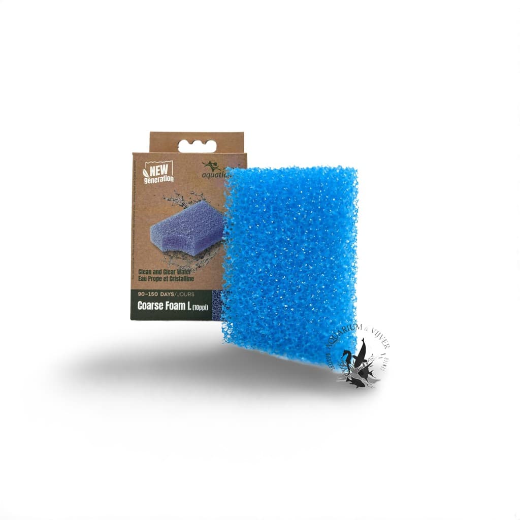 Aquatlantis B-box Coarse Foam L