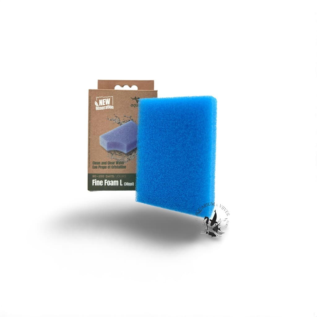 Aquatlantis B-box Fine Foam L