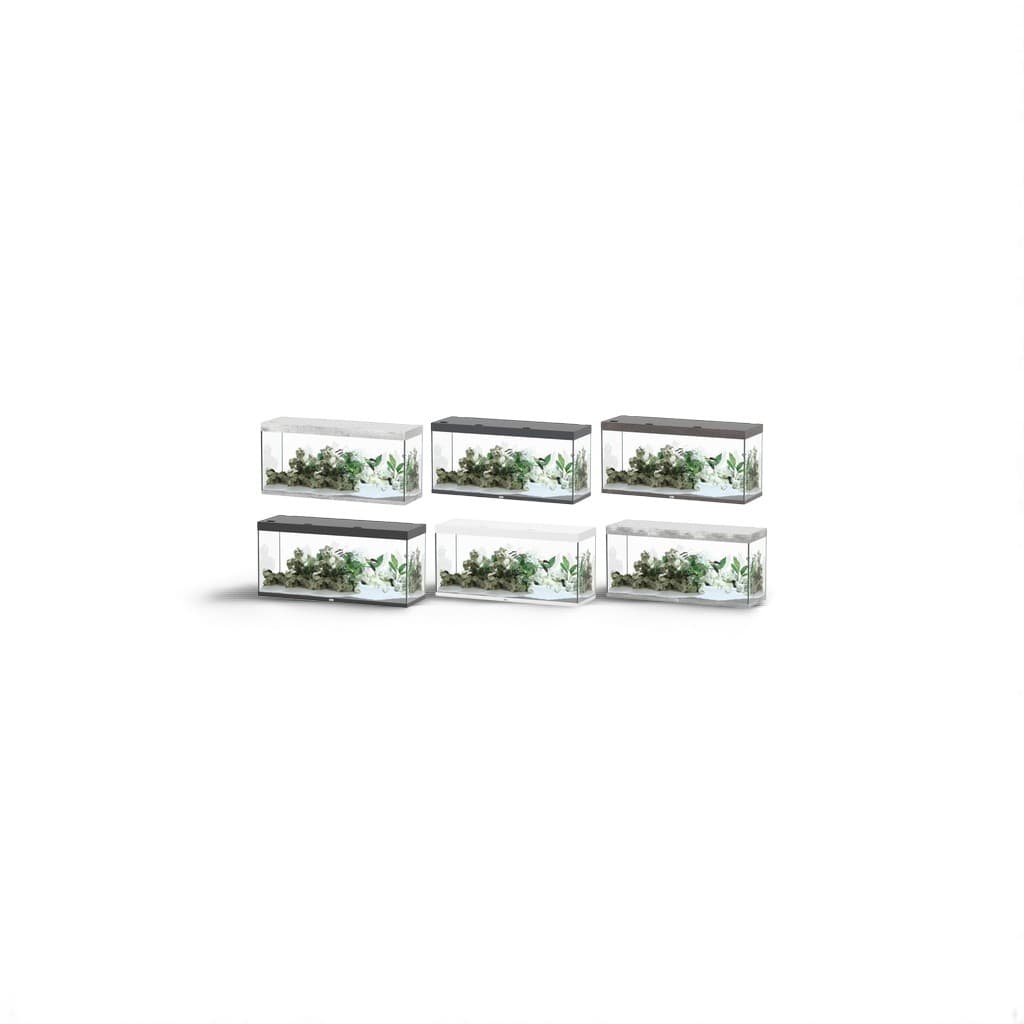 Aquatlantis Sublime 150 x 50 Aquarium