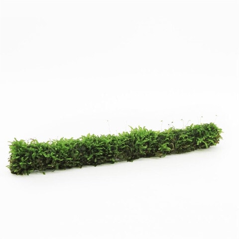 bamboostok met javamos 20cm
