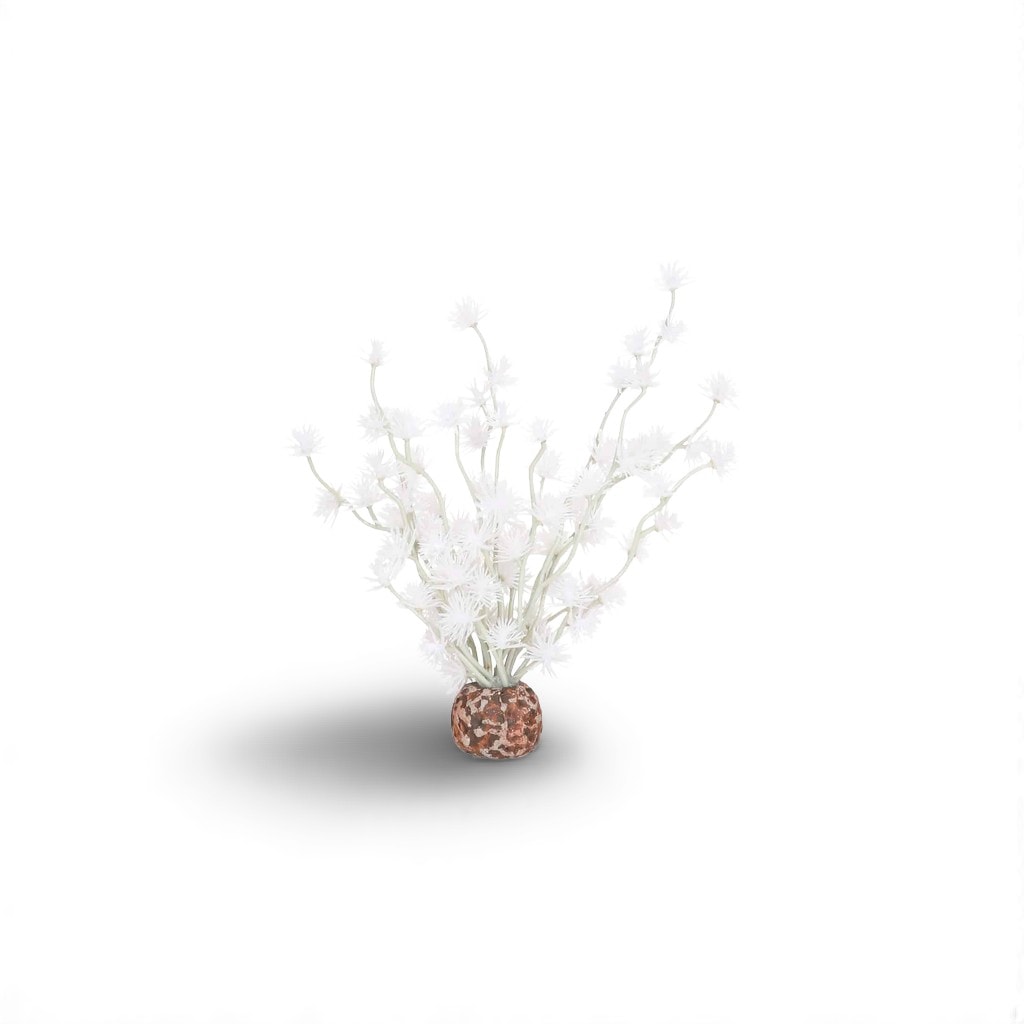 Biorb Bonsai Bal