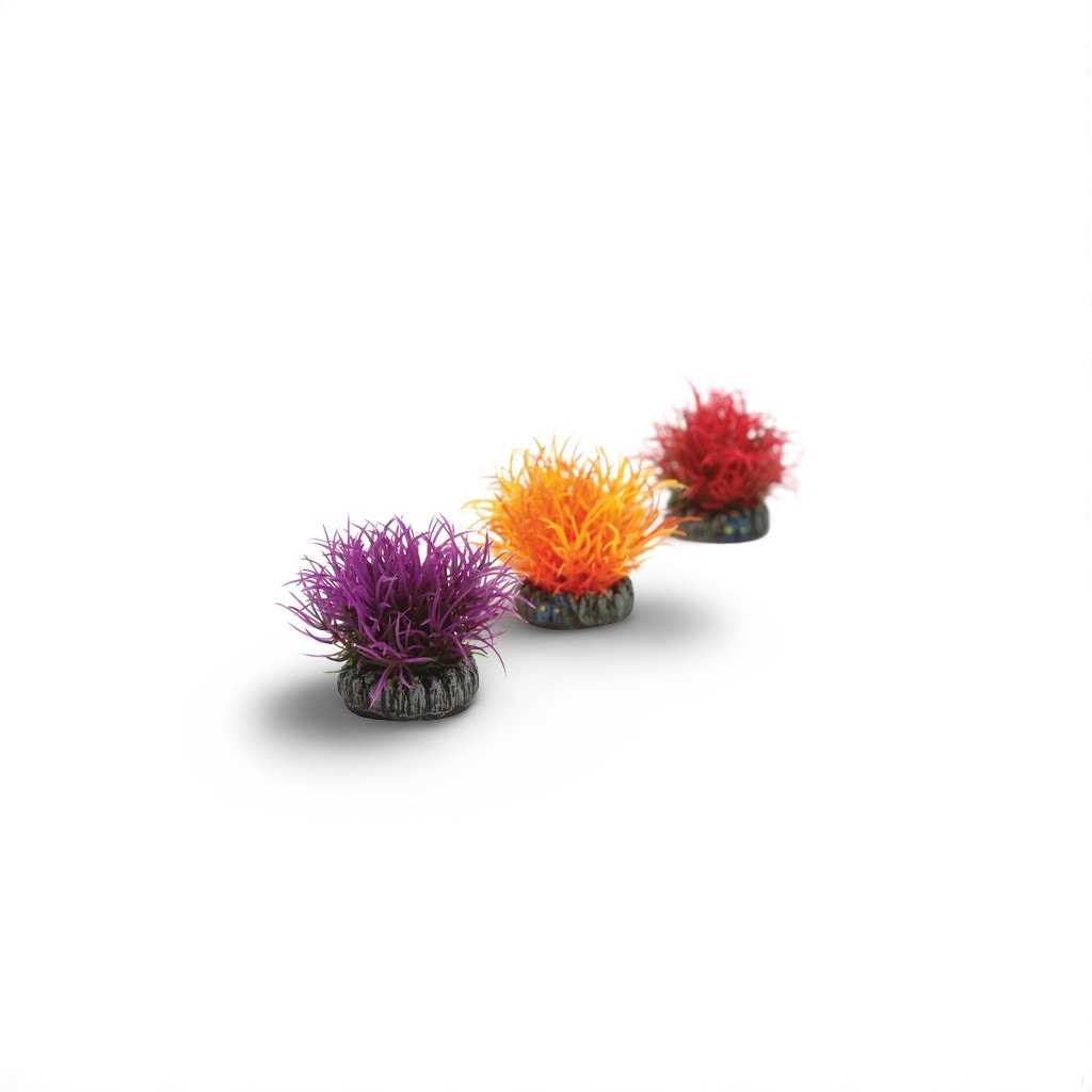 Biorb Decobal Set 3