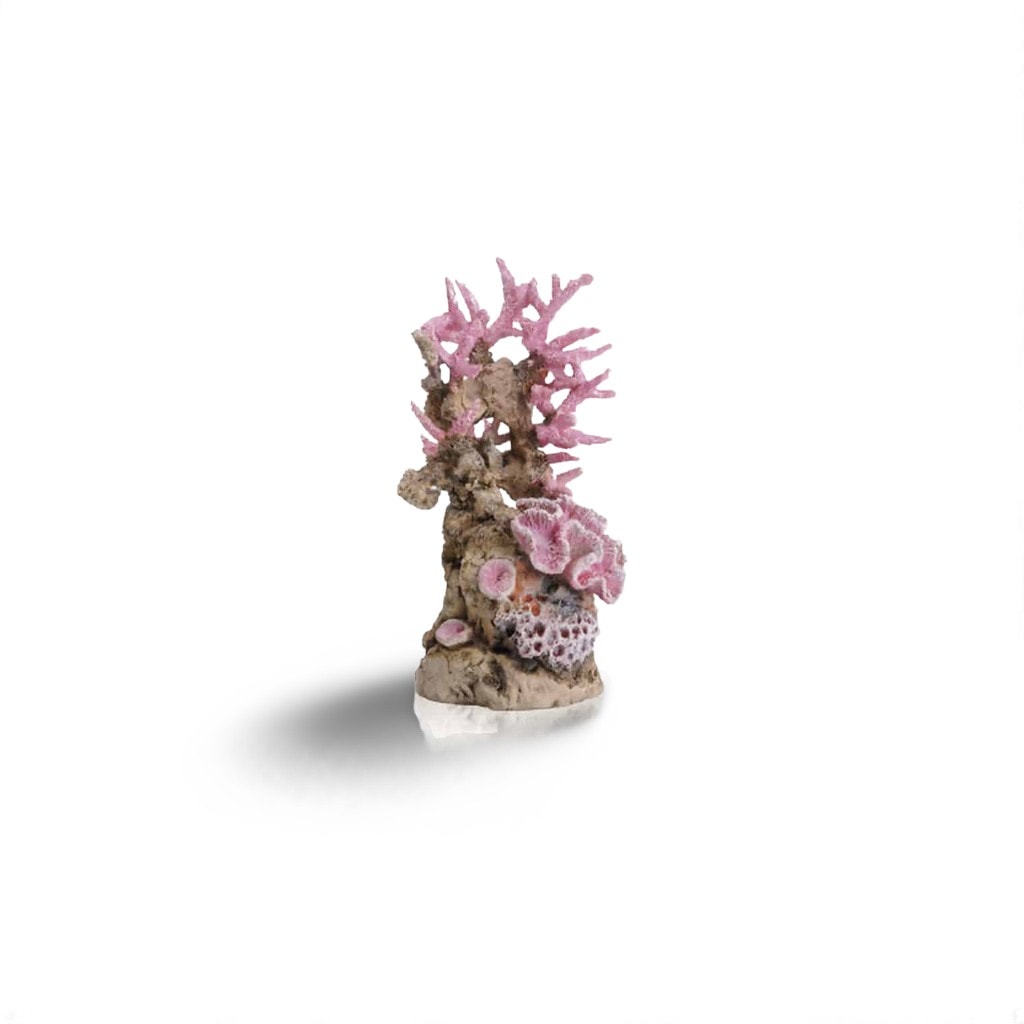 Biorb Koraalrif Roze