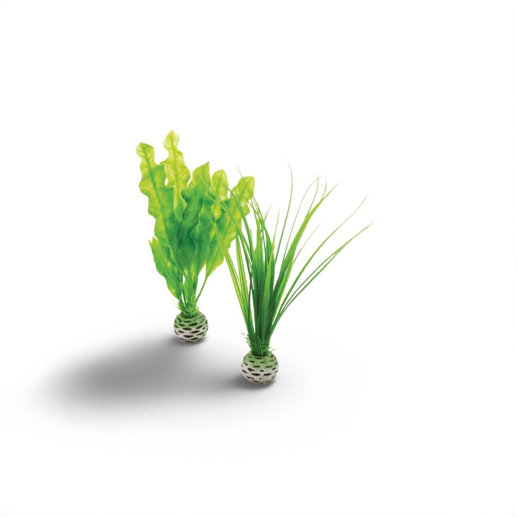 Biorb plantenset Groen