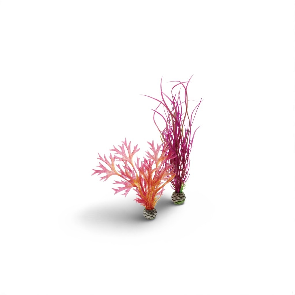 Biorb Plantenset Rood & Roze