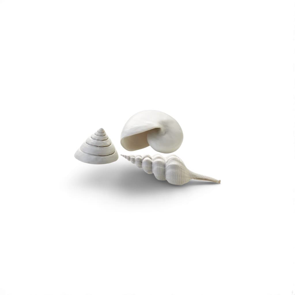 Biorb Schelp Set 3 Wit