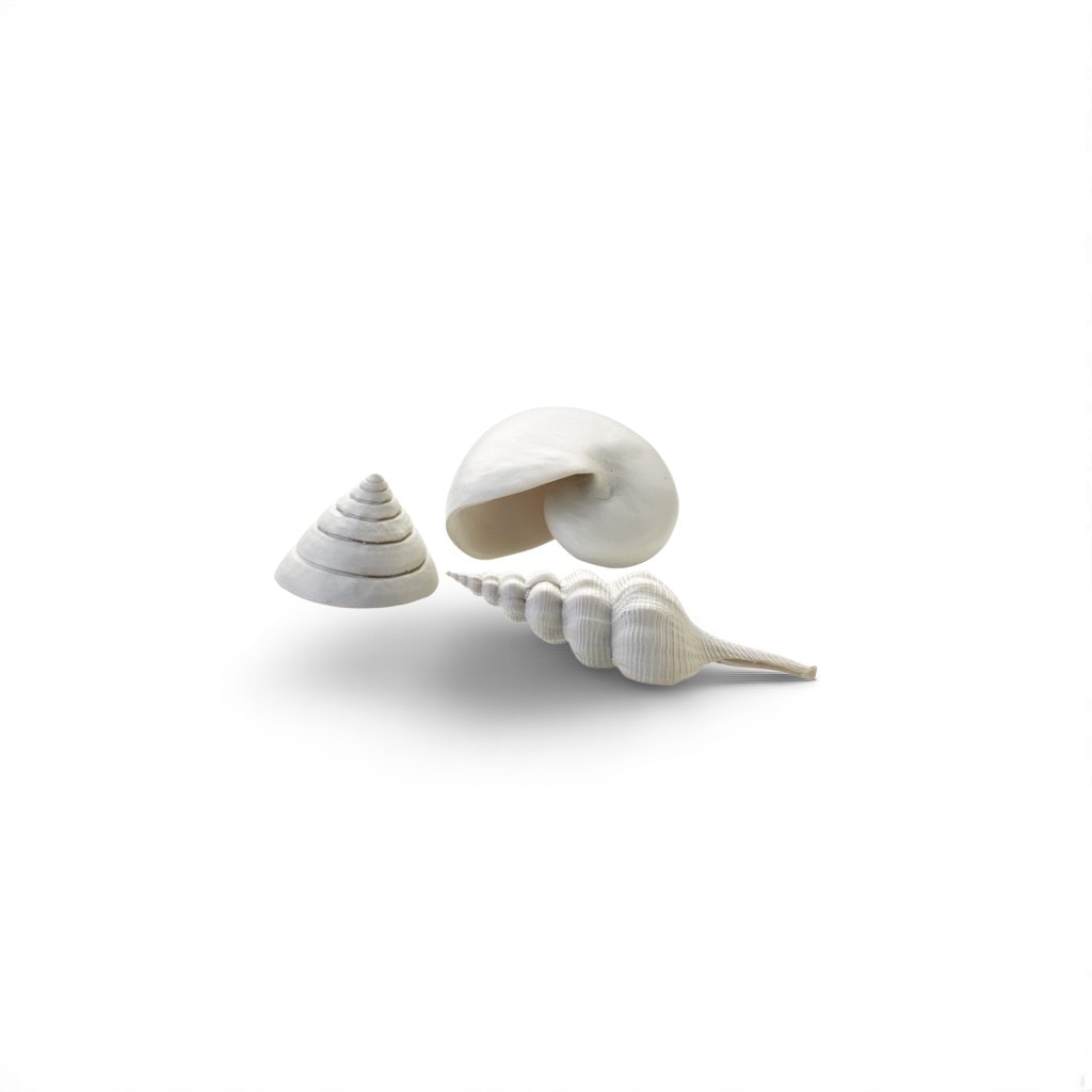 Biorb Schelp Set 3 Wit