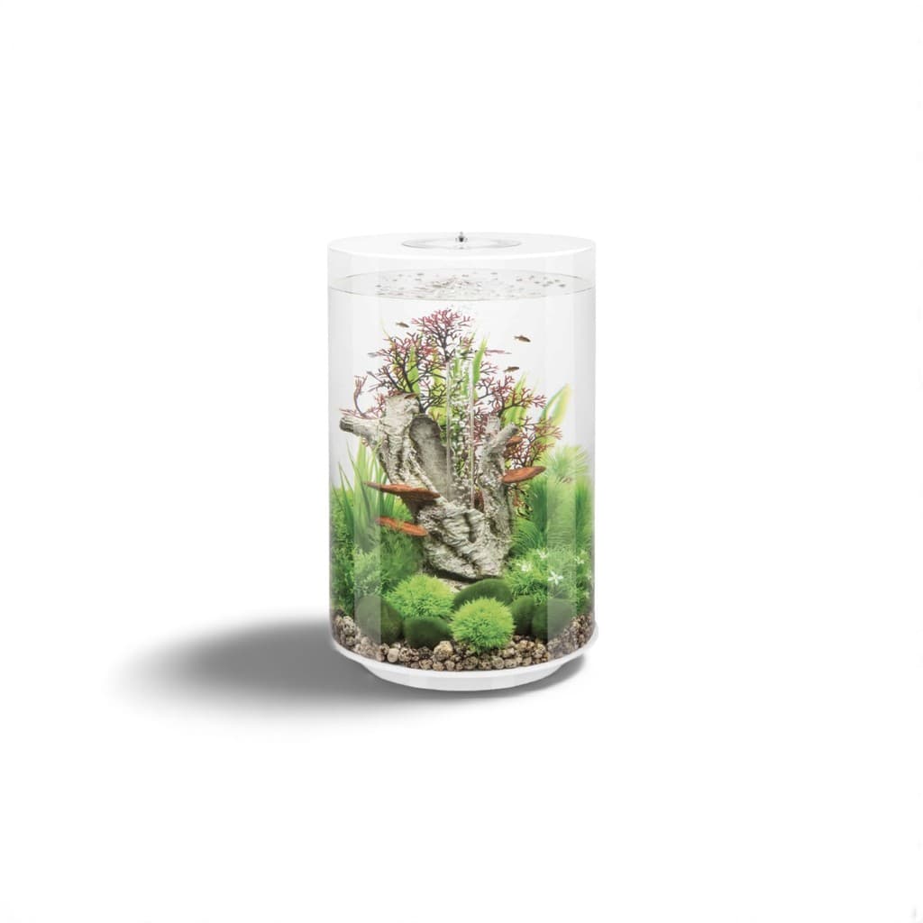 Biorb Tube 30 MCR