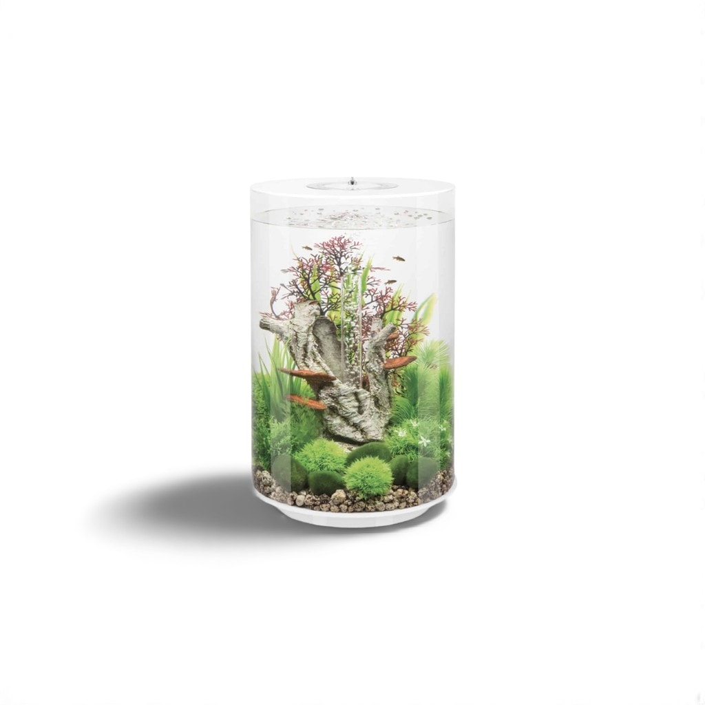 Biorb Tube 30 MCR