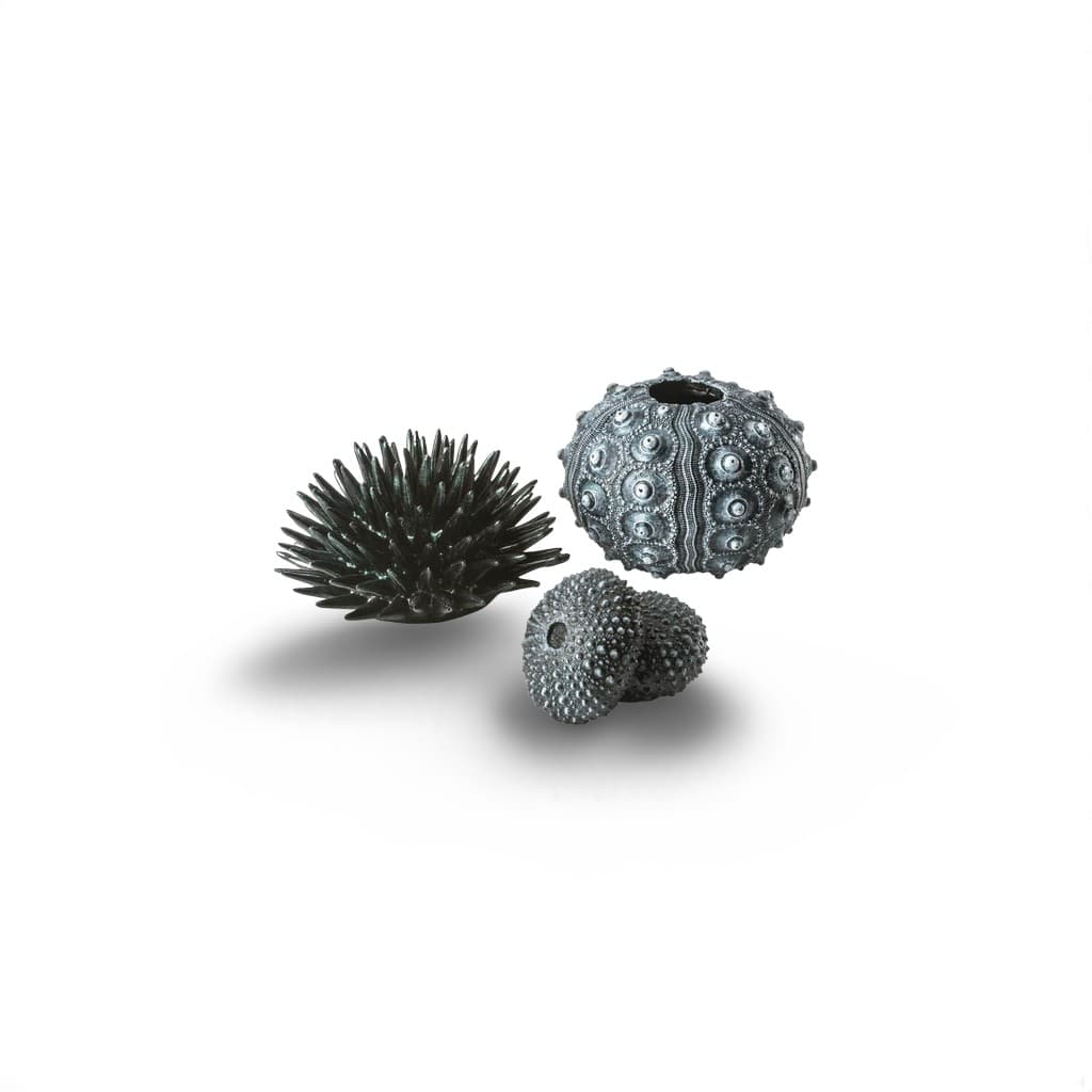 Biorb Zee-egel Set Zwart