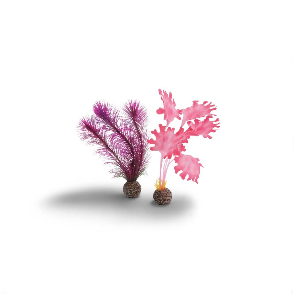 Biorb Zeewier Set Roze