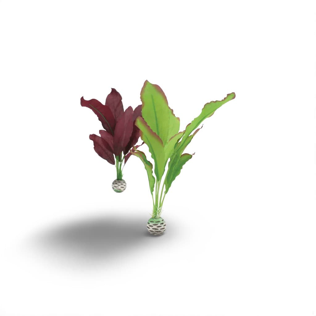 Biorb Zijdenplanten set M groen & paars