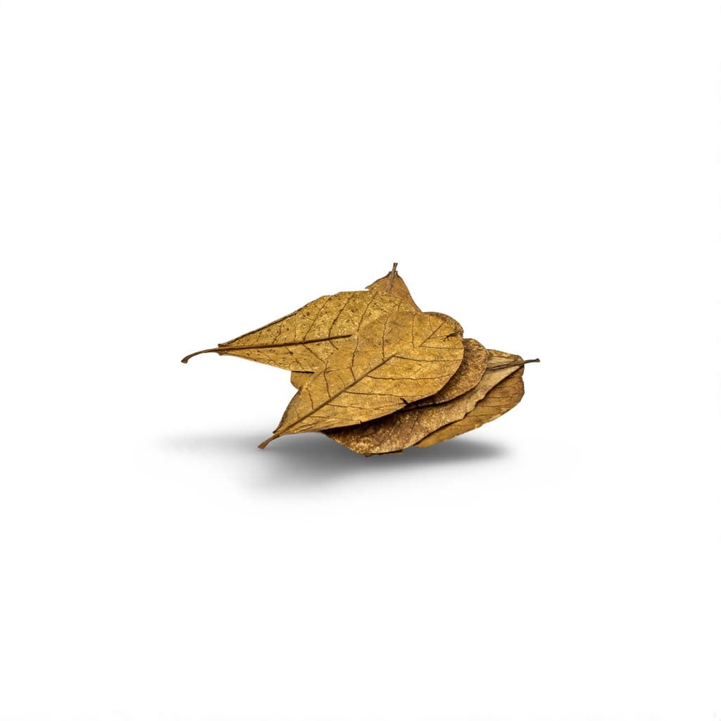 Ceramic Nature Catappa Leaves Nano 10st