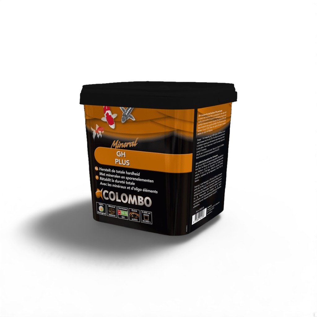 Colombo Gh+