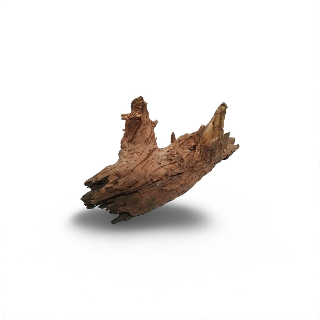 Deco Driftwood