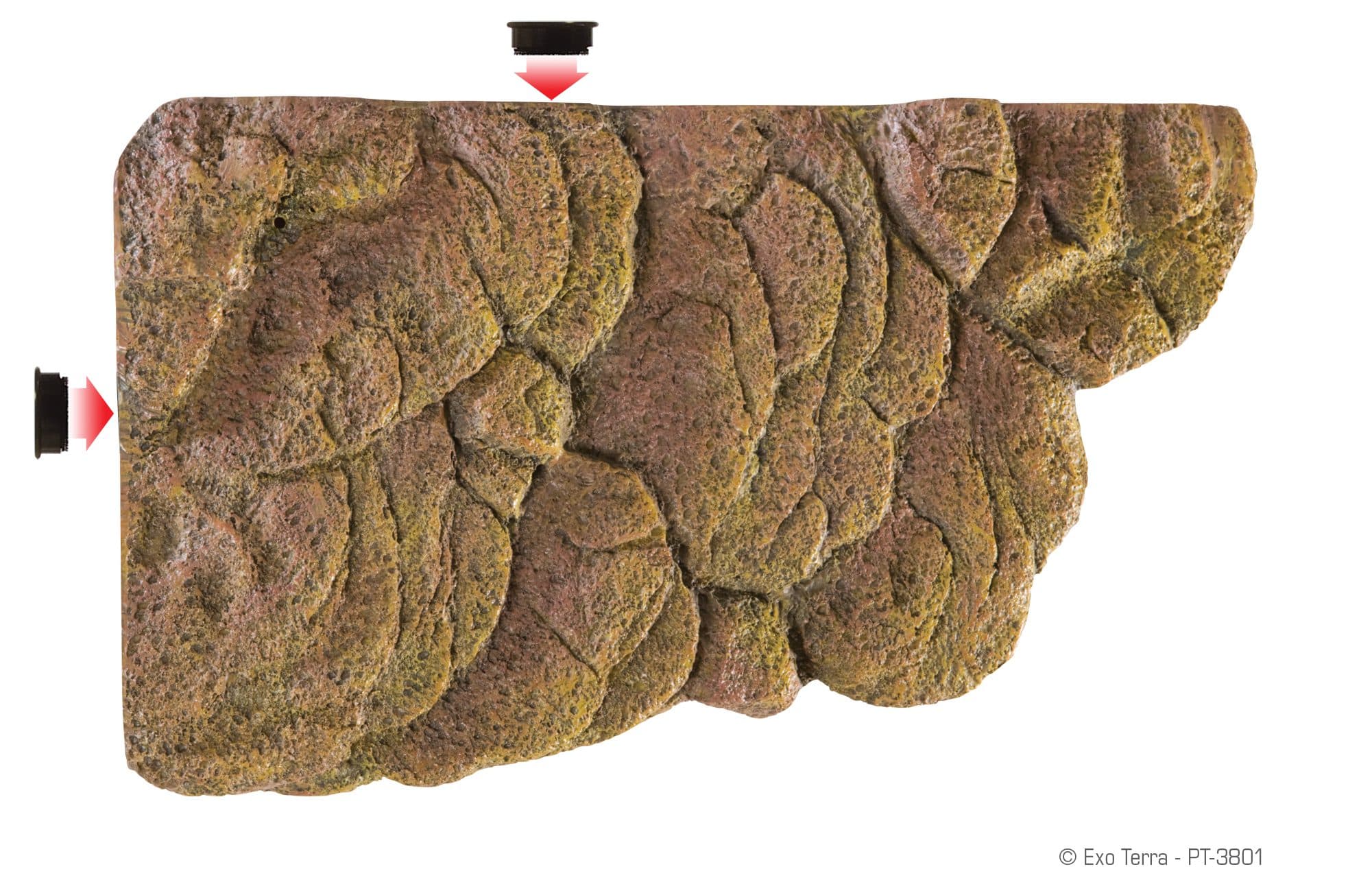 Exo Terra Turtle Bank - afbeelding 2
