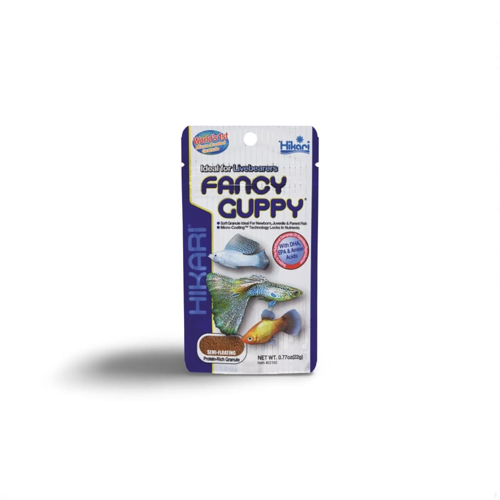 Hikari Fancy Guppy