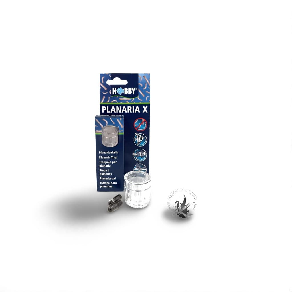 Hobby Planaria val