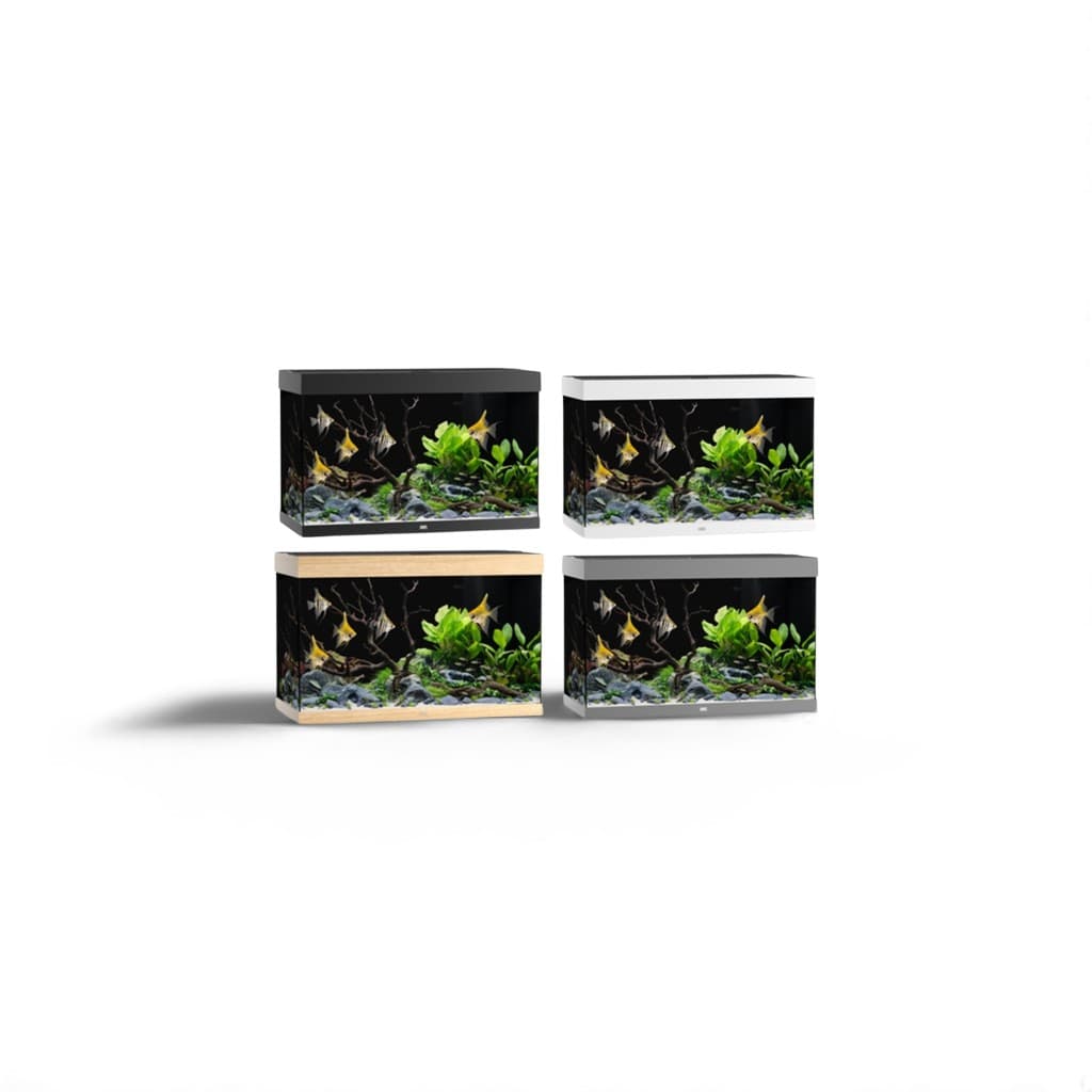 Juwel Rio 290 LED Aquarium