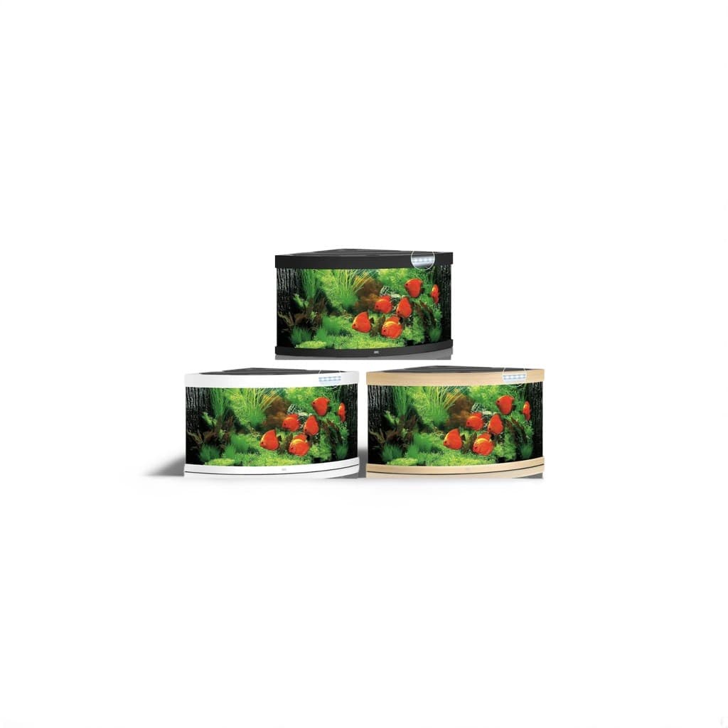 Juwel Trigon 350 LED Aquarium