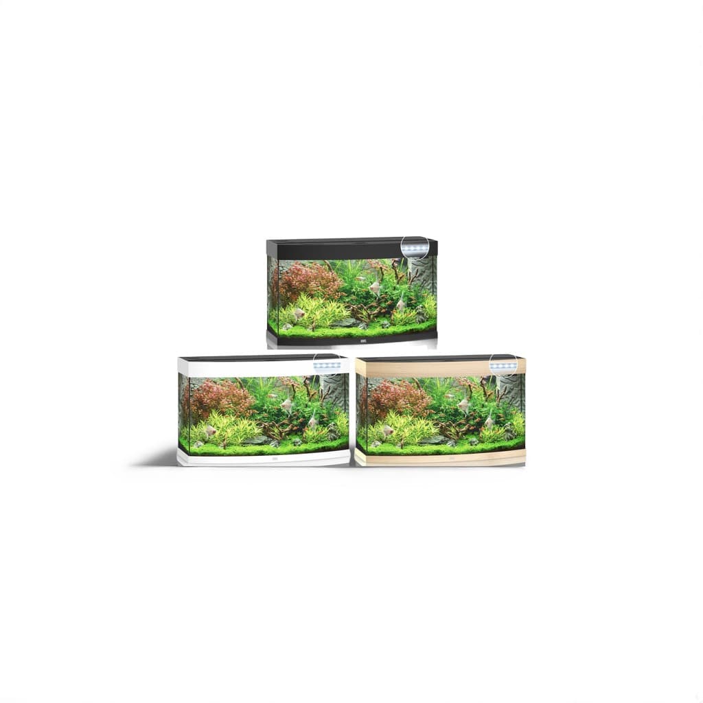 Juwel Vision 180 LED Aquarium