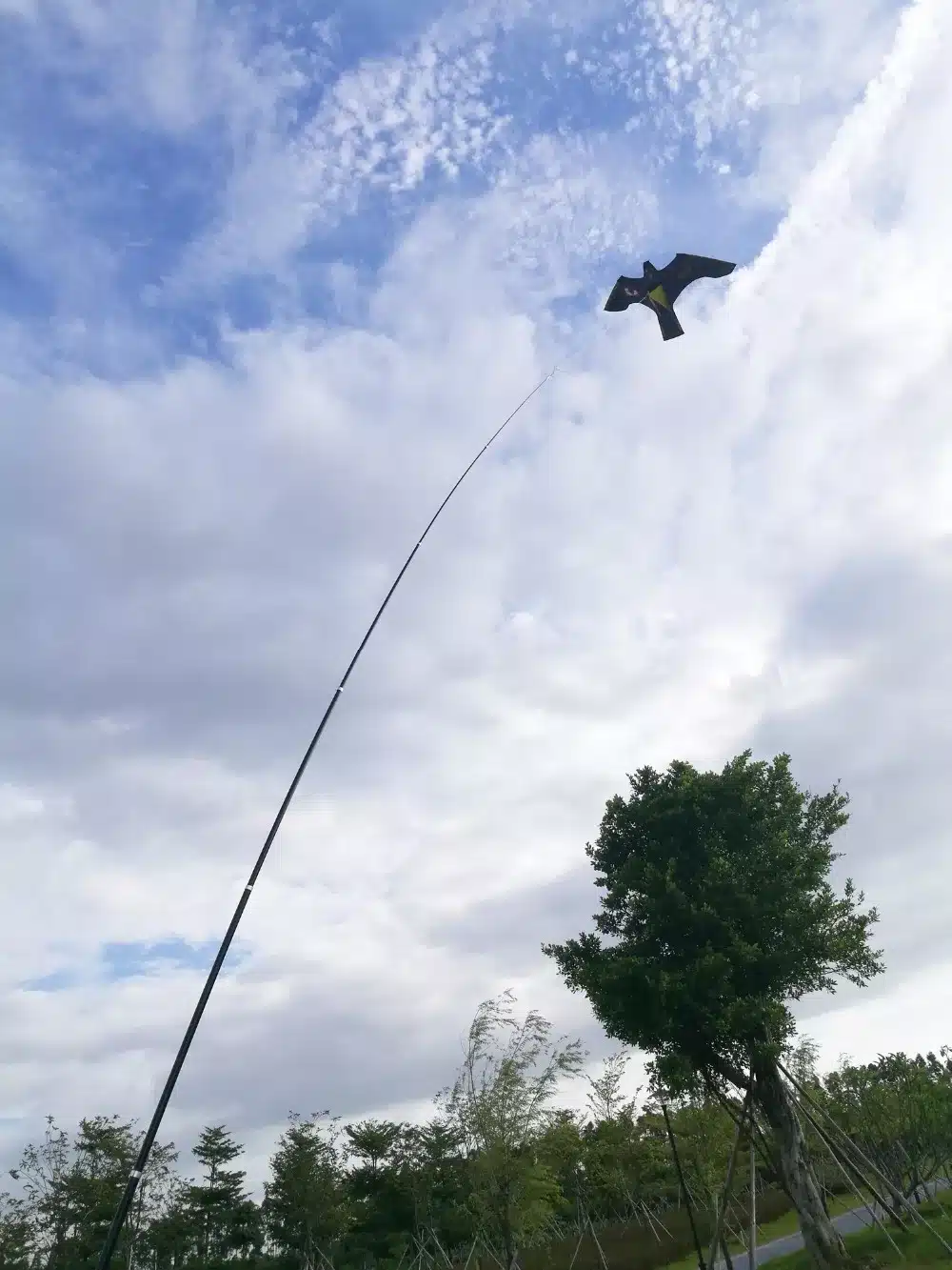 Ketrop Vogelverschrikker Hawk Kite 7m - afbeelding 2
