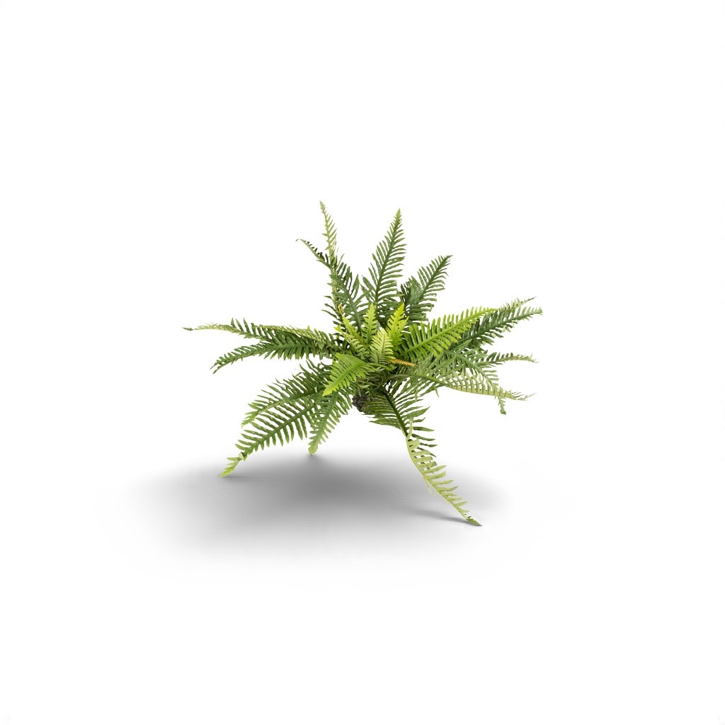 Kunstplant varen Groen XL