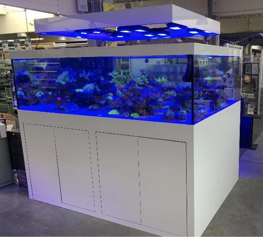 Zeewateraquarium op een wit meubel in de winkel