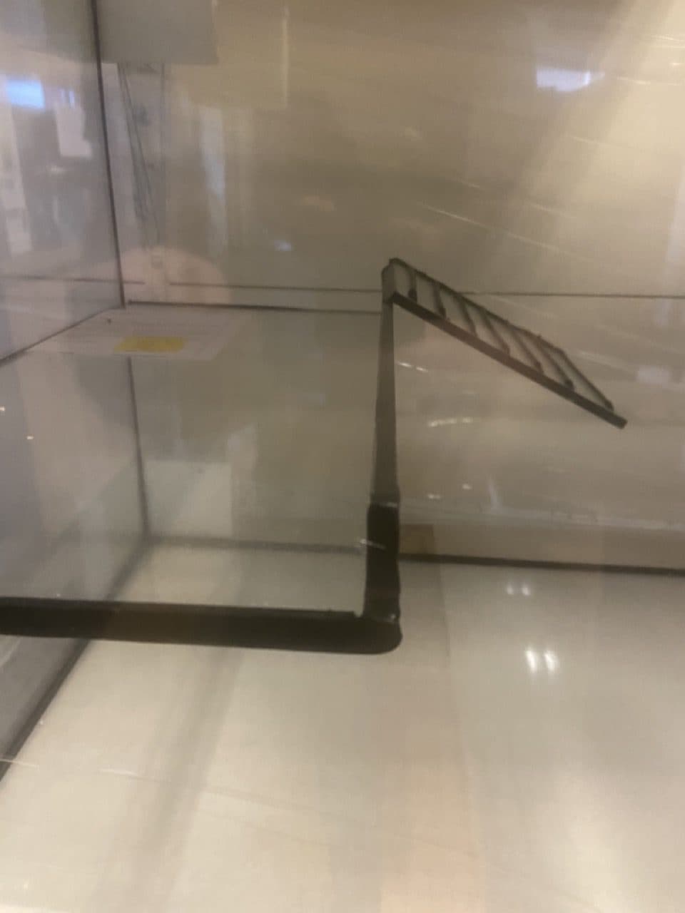 Schildpadden Aquarium op Maat - afbeelding 3