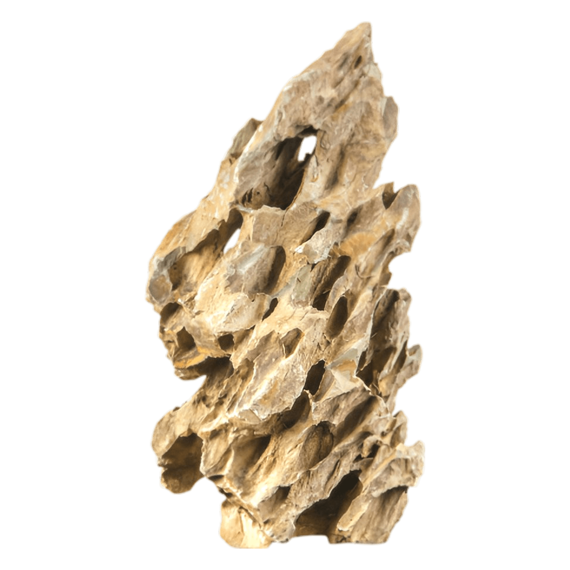 Sera Rock Dragon Stone