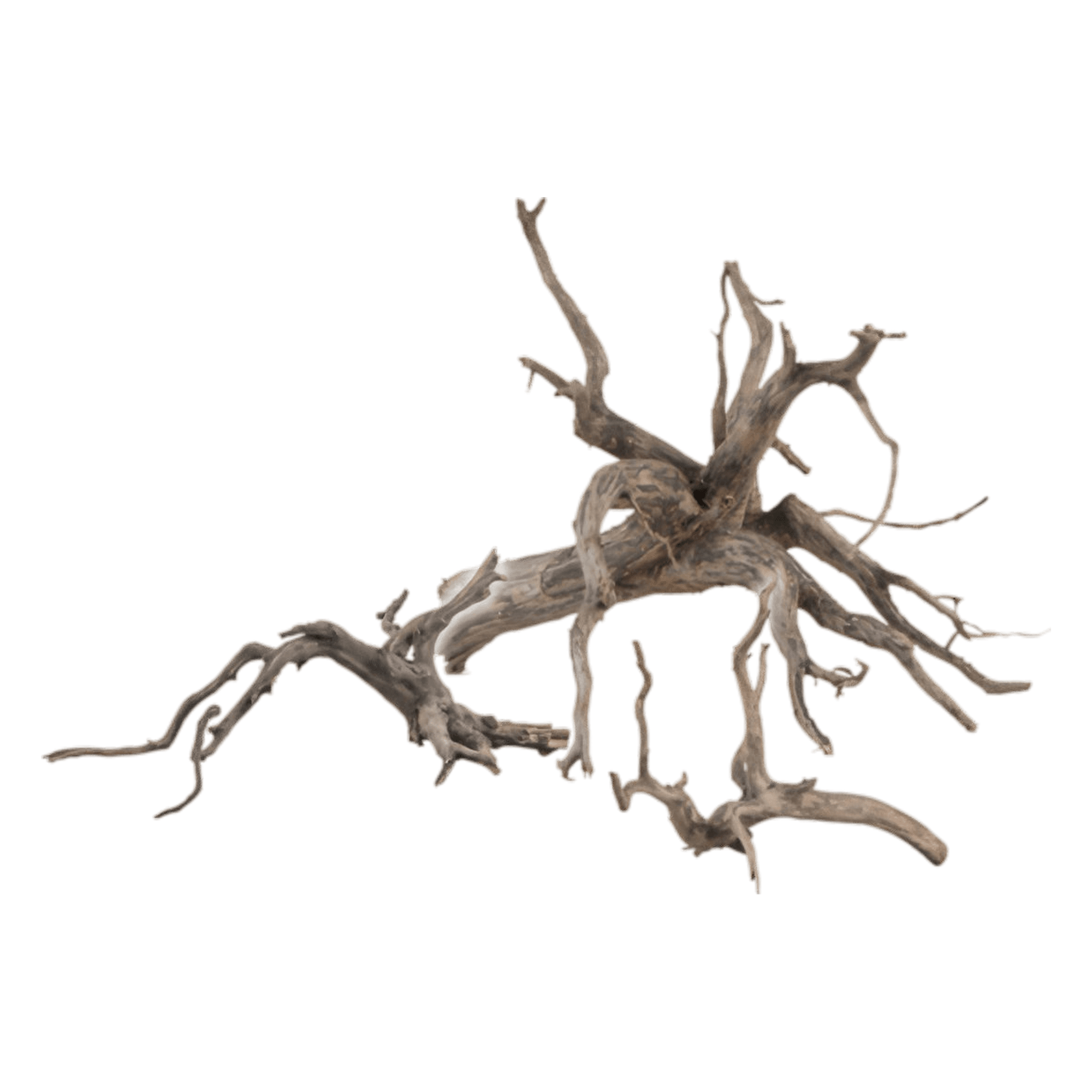 Sera Scaper Root
