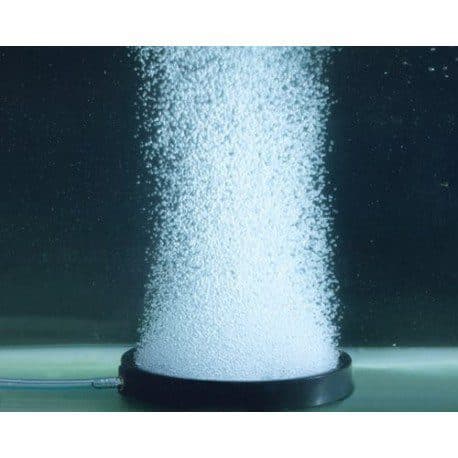 Superfish Hi Oxygen Disk - afbeelding 2