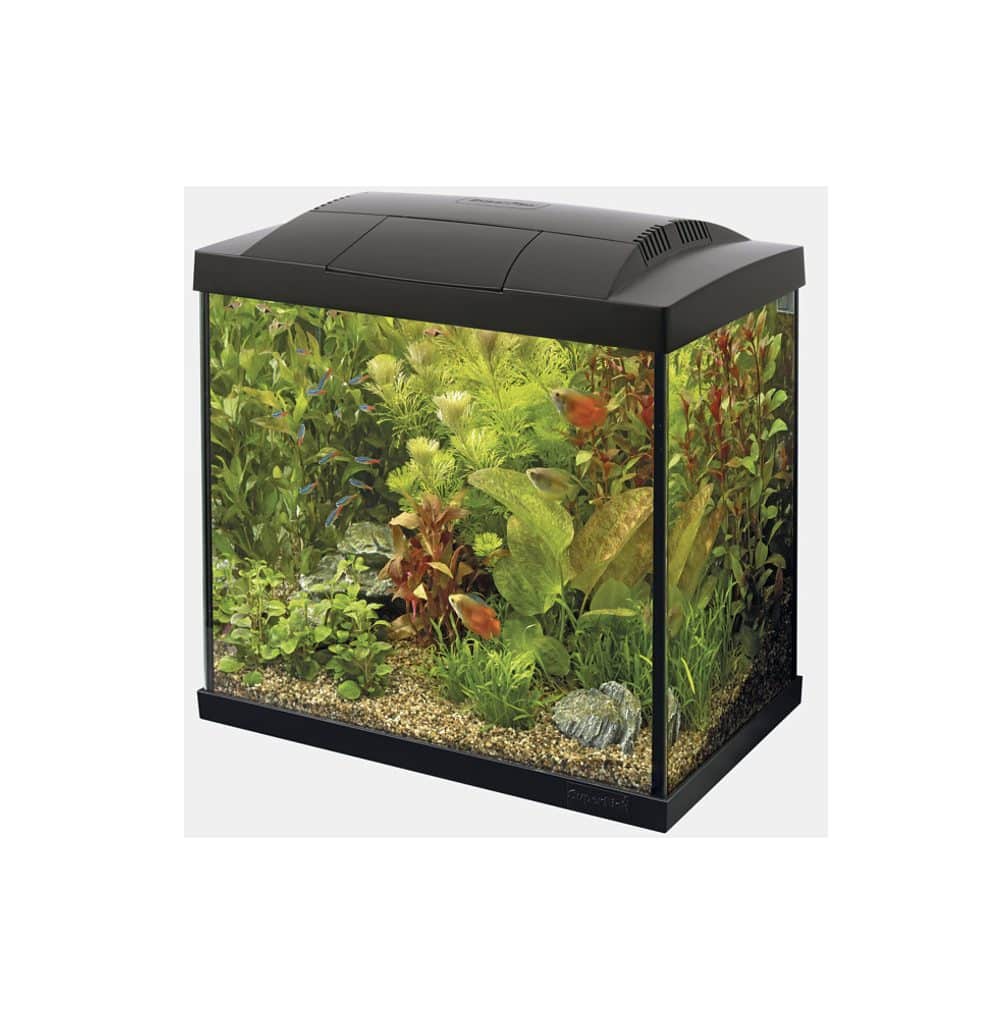 Superfish Start 50 Tropical Kit zwart - afbeelding 2