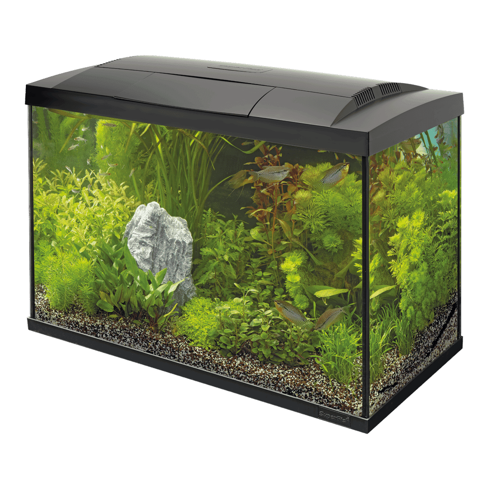 Superfish Start 70 Tropical Kit Zwart - afbeelding 2